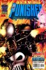 Punisher (3rd series) #14 - Punisher (3rd series) #14