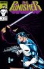 Punisher (2nd series) #9 - Punisher (2nd series) #9