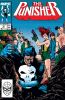 Punisher (2nd series) #12 - Punisher (2nd series) #12