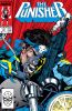 Punisher (2nd series) #13 - Punisher (2nd series) #13