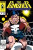 Punisher (2nd series) #21 - Punisher (2nd series) #21