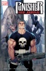 Punisher War Journal (2nd series) #13 - Punisher War Journal (2nd series) #13