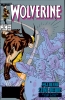 Wolverine (2nd series) #16